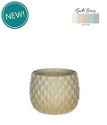 38352-cream-0