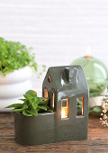 39045-green-1