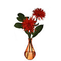 35252-orange-4