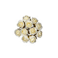 31102-cream-0