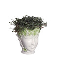 33493-green-2