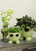 38431-green-3