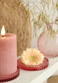 34101-pink-1