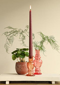 36219-brown-2