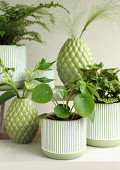 38282-green-4