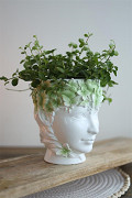 33494-green-3