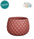 38373-pink-0