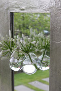 28013-clear-2