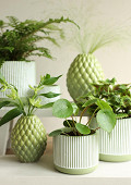 38281-green-5