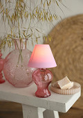 34121-pink-3
