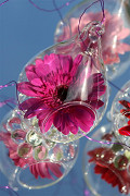 30202-clear-3