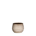 33962-cream-0