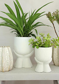 38252-cream-2