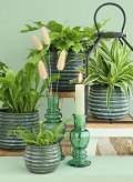 33952-green-2
