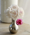 31223-pink-1