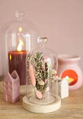 36062-pink-2