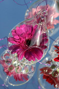 30219-clear-3