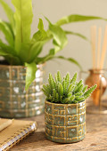 38472-green-2