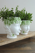 33493-green-3
