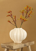 39001-cream-1
