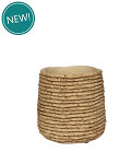 38457-brown-0