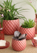 38372-pink-2