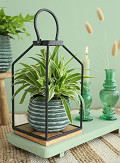 33952-green-1