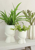 38252-cream-1