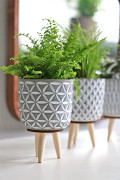 33012-grey-4