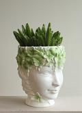 33494-green-1