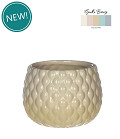 38353-cream-0