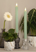 32685-green-1
