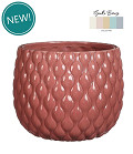 38375-pink-0