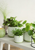 38281-green-4