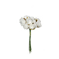 31101-white-2