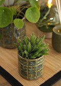 38472-green-5