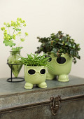38431-green-1