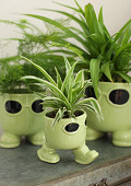 38431-green-2