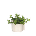 38141-cream-2