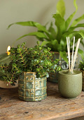 38473-green-1