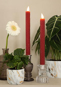 32681-red-1