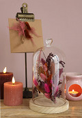 32609-pink-5