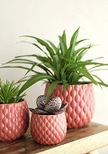 38372-pink-1