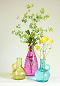 35231-yellow-1