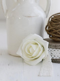 31162-cream-1