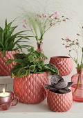 38372-pink-4