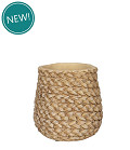 38467-brown-0