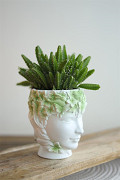 33493-green-1
