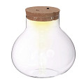 30189-clear-0