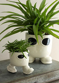 38441-cream-1